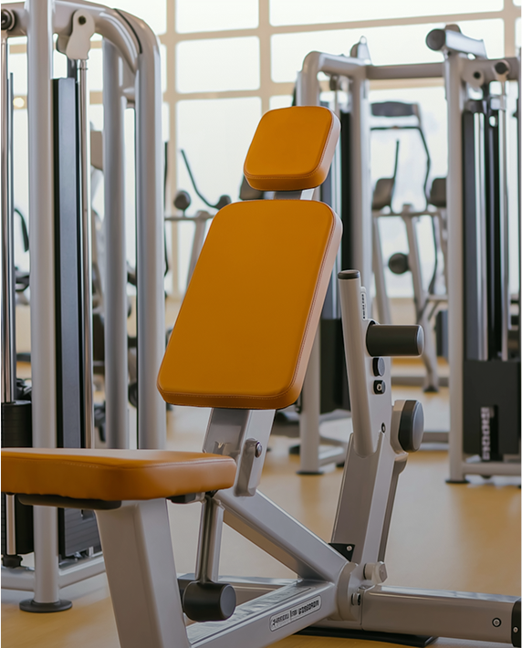 Gym equipment